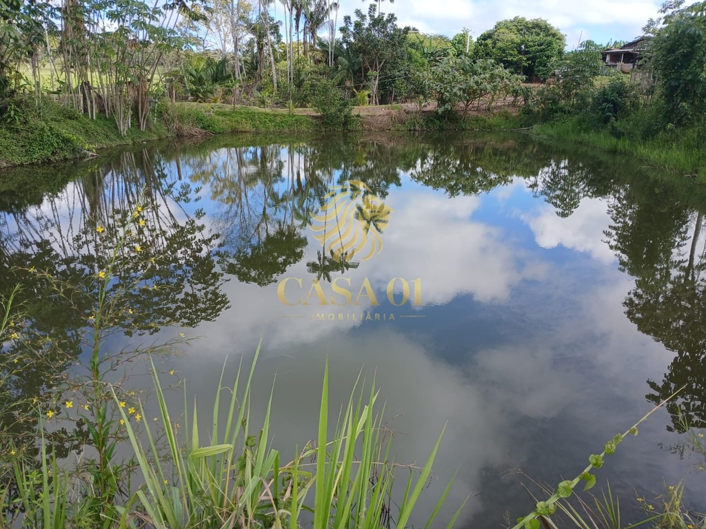 commercial-/-agricultural-area-rural-de-cacoal-cacoal-ro