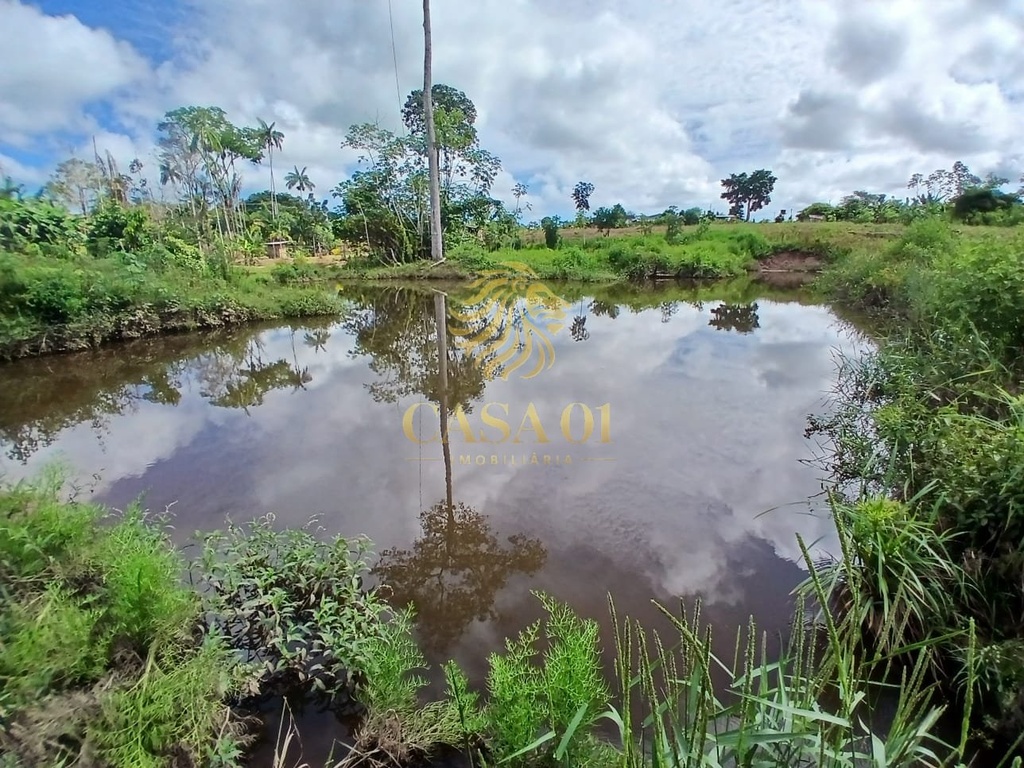 commercial-/-agricultural-area-rural-de-cacoal-cacoal-ro