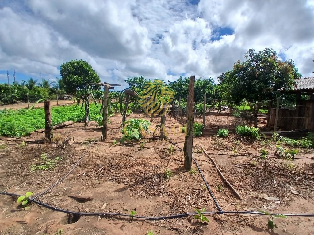 commercial-/-agricultural-area-rural-de-cacoal-cacoal-ro