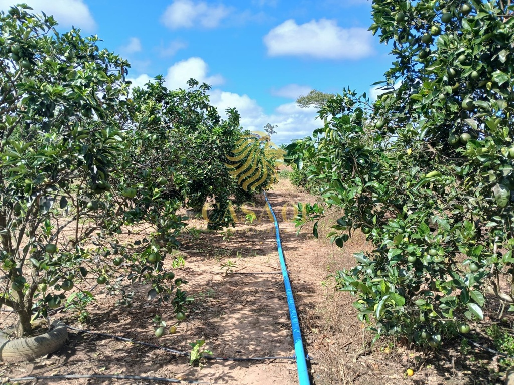 commercial-/-agricultural-area-rural-de-cacoal-cacoal-ro