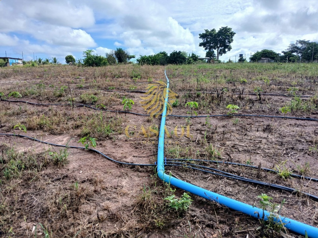 commercial-/-agricultural-area-rural-de-cacoal-cacoal-ro