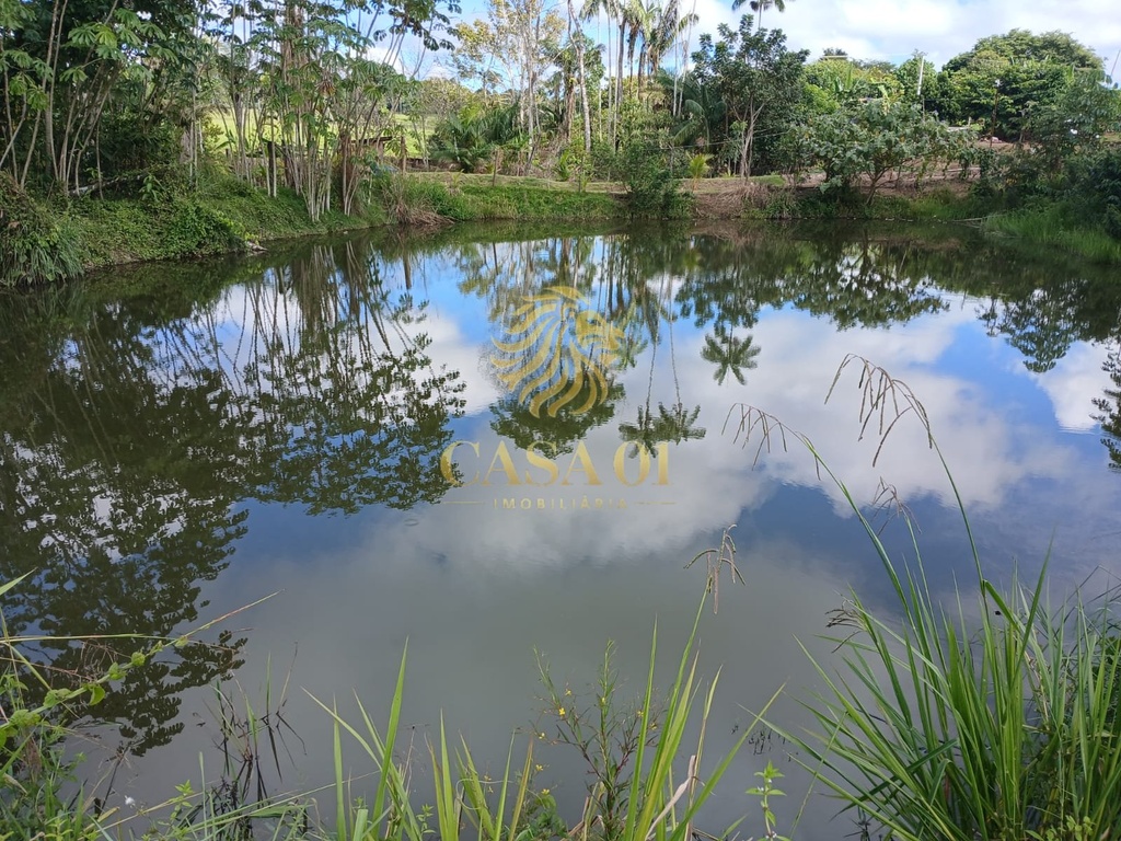 commercial-/-agricultural-area-rural-de-cacoal-cacoal-ro
