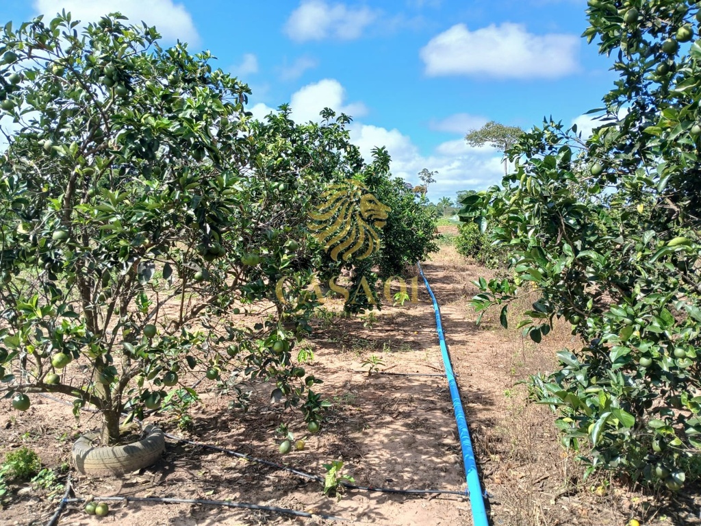 commercial-/-agricultural-area-rural-de-cacoal-cacoal-ro