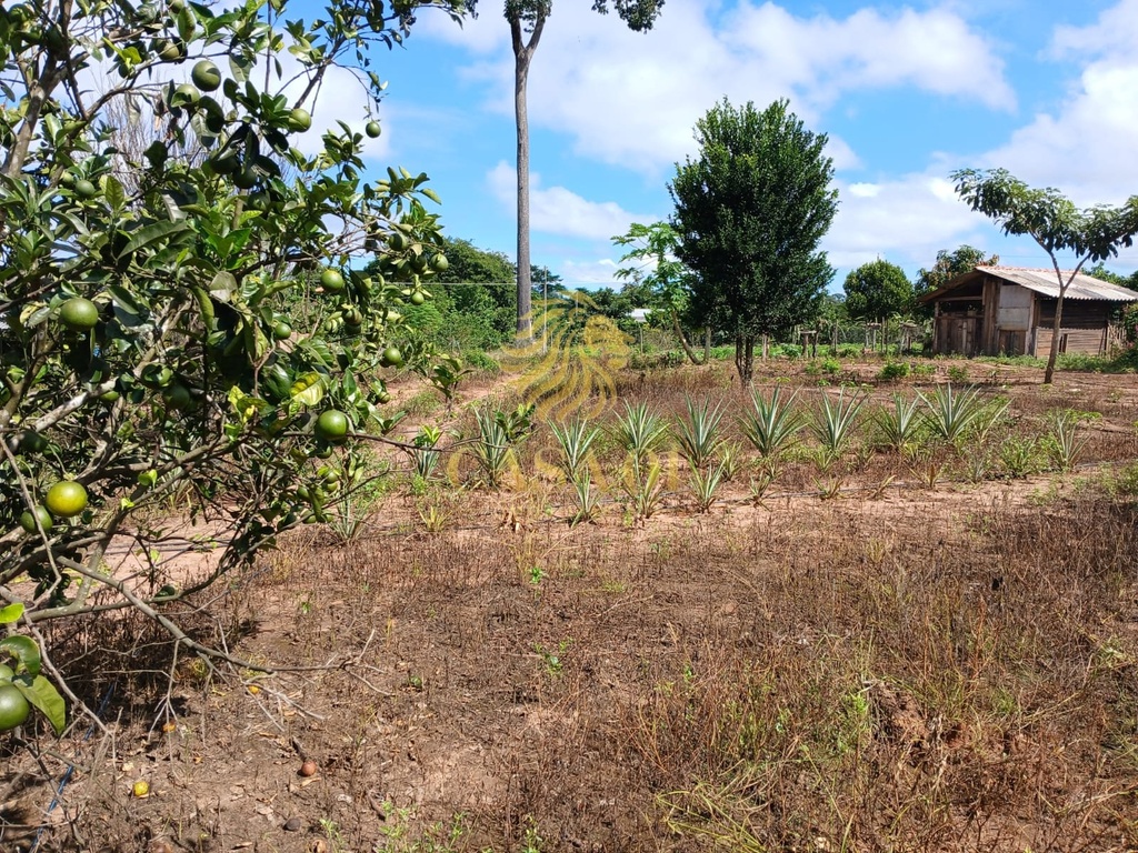 commercial-/-agricultural-area-rural-de-cacoal-cacoal-ro