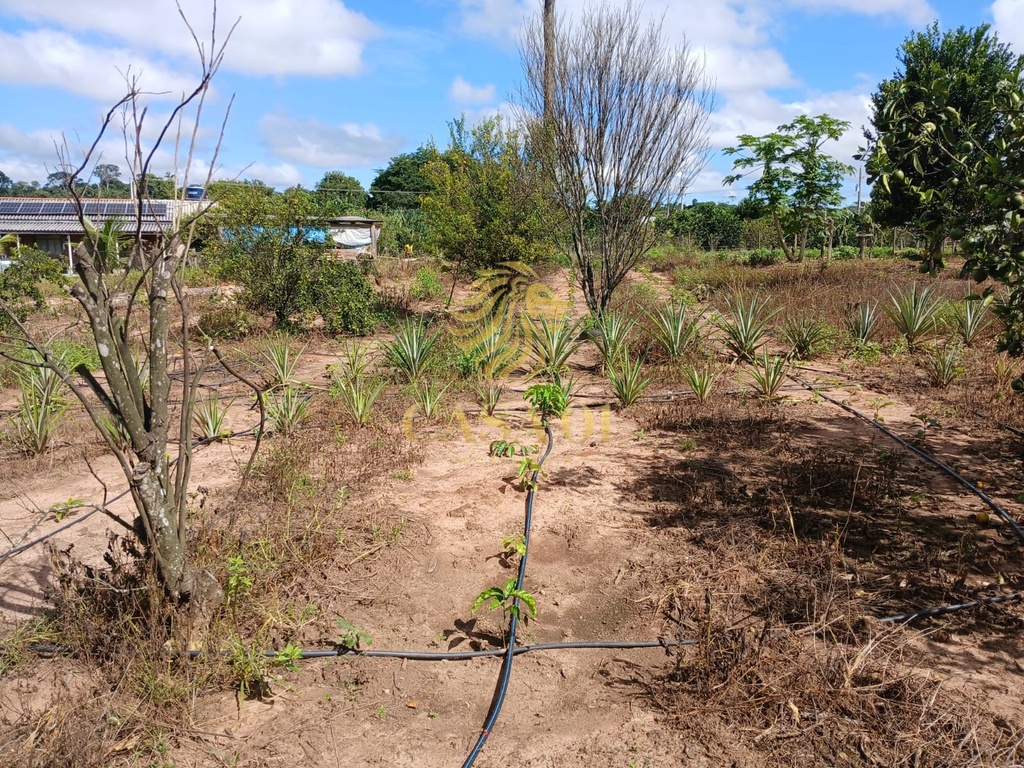 commercial-/-agricultural-area-rural-de-cacoal-cacoal-ro