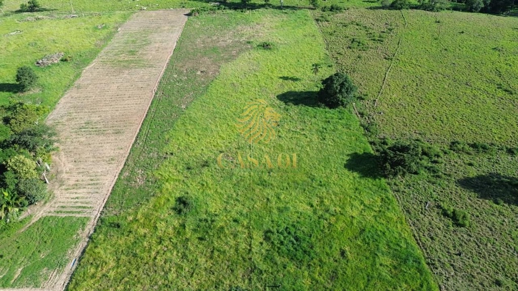 commercial-/-agricultural-area-rural-de-cacoal-cacoal-ro