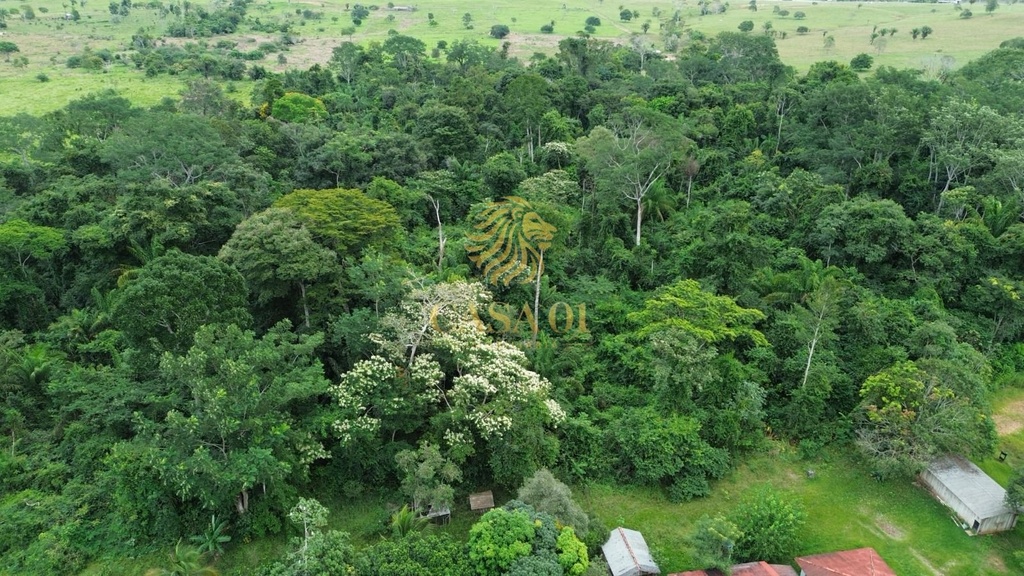 commercial-/-agricultural-area-rural-de-cacoal-cacoal-ro