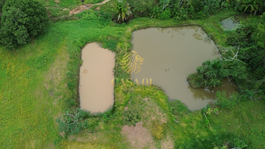 commercial-/-agricultural-area-rural-de-cacoal-cacoal-ro