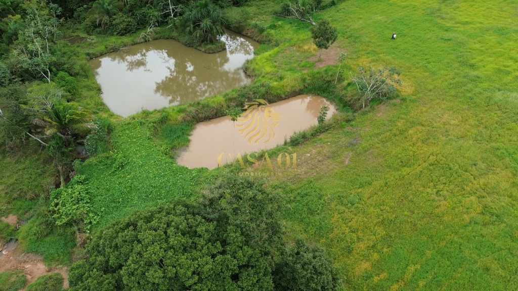 commercial-/-agricultural-area-rural-de-cacoal-cacoal-ro