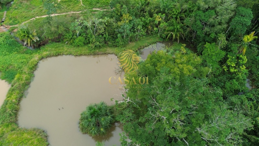 commercial-/-agricultural-area-rural-de-cacoal-cacoal-ro