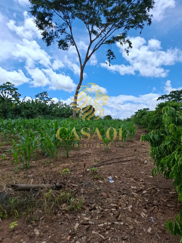 commercial-/-agricultural-3-quartos-area-rural-de-cacoal-cacoal-ro