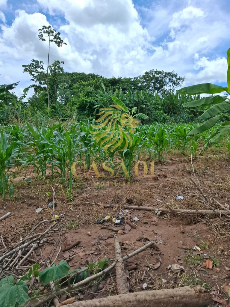 commercial-/-agricultural-3-quartos-area-rural-de-cacoal-cacoal-ro