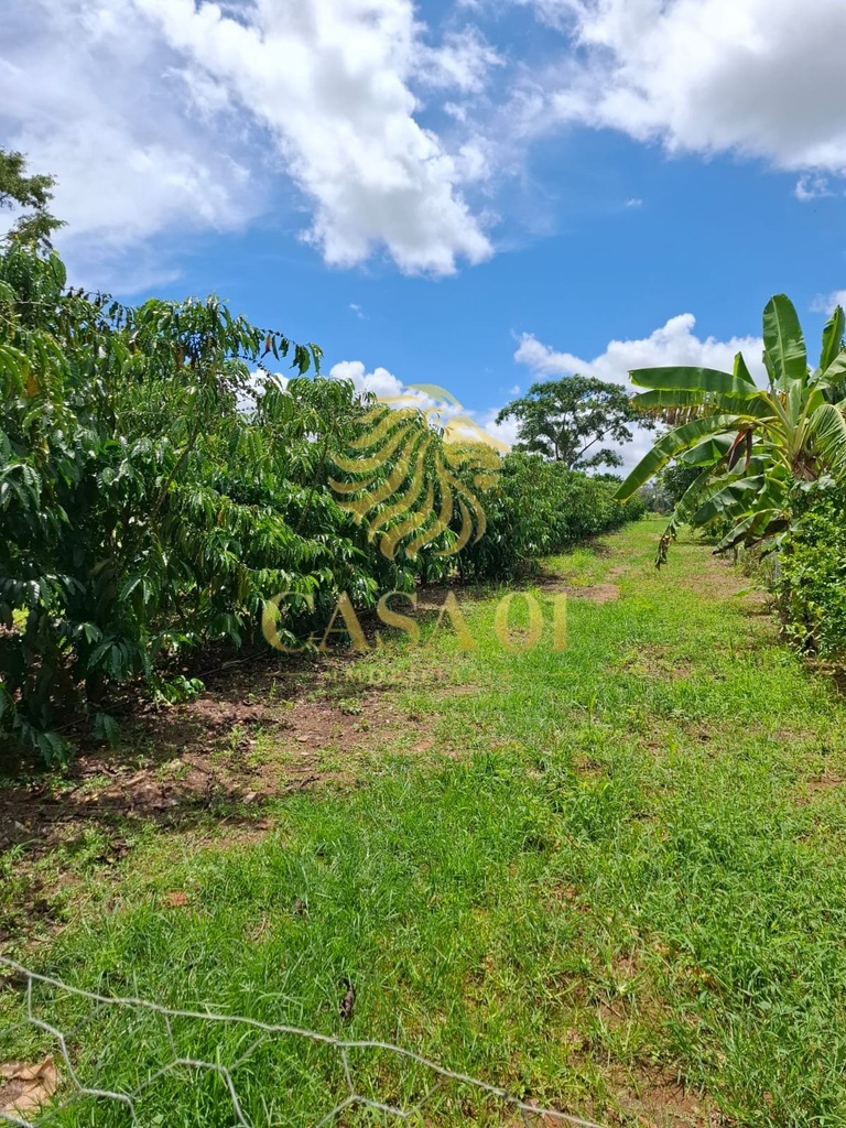 commercial-/-agricultural-3-quartos-area-rural-de-cacoal-cacoal-ro