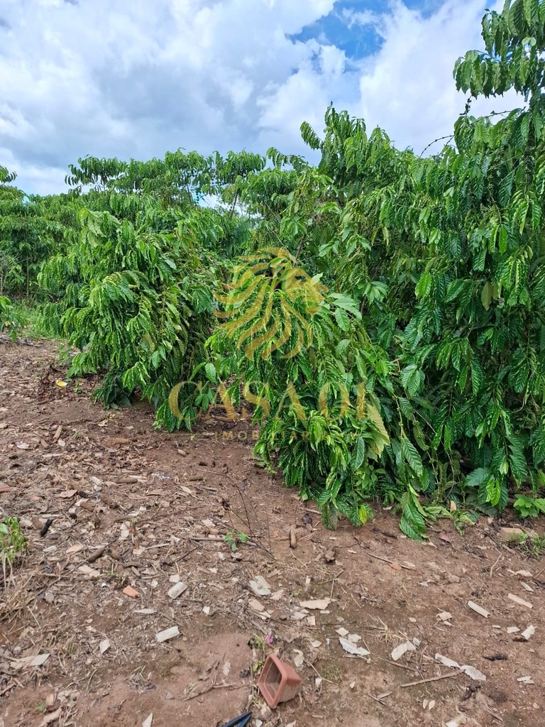 commercial-/-agricultural-3-quartos-area-rural-de-cacoal-cacoal-ro