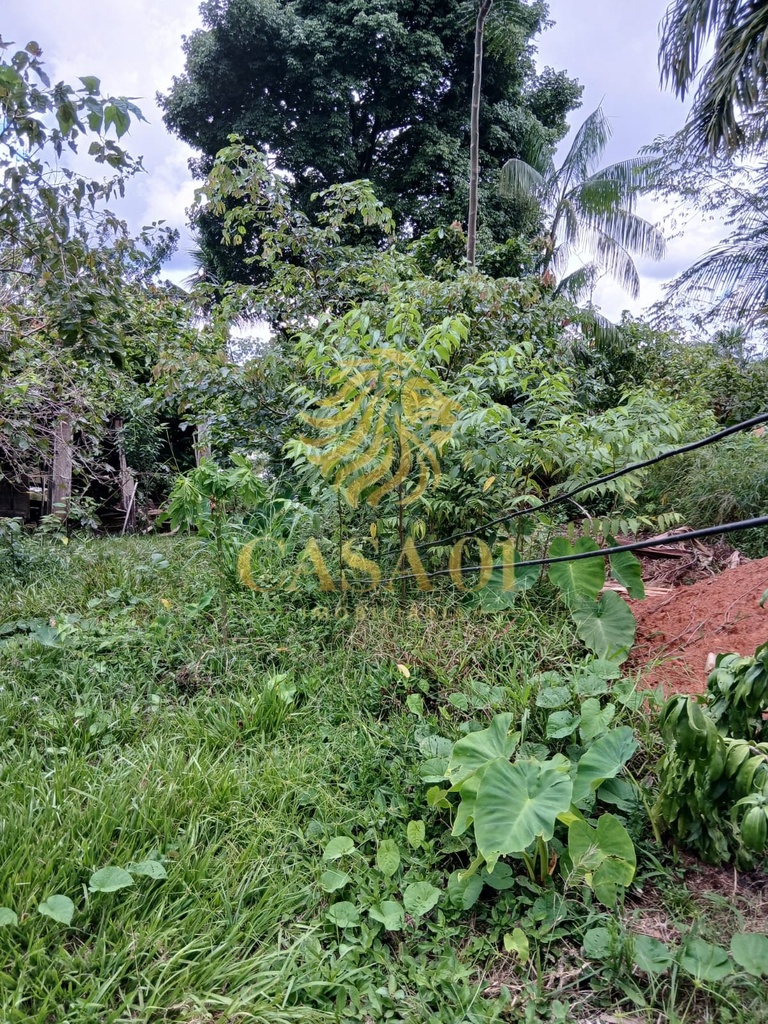 commercial-/-agricultural-area-rural-de-cacoal-cacoal-ro