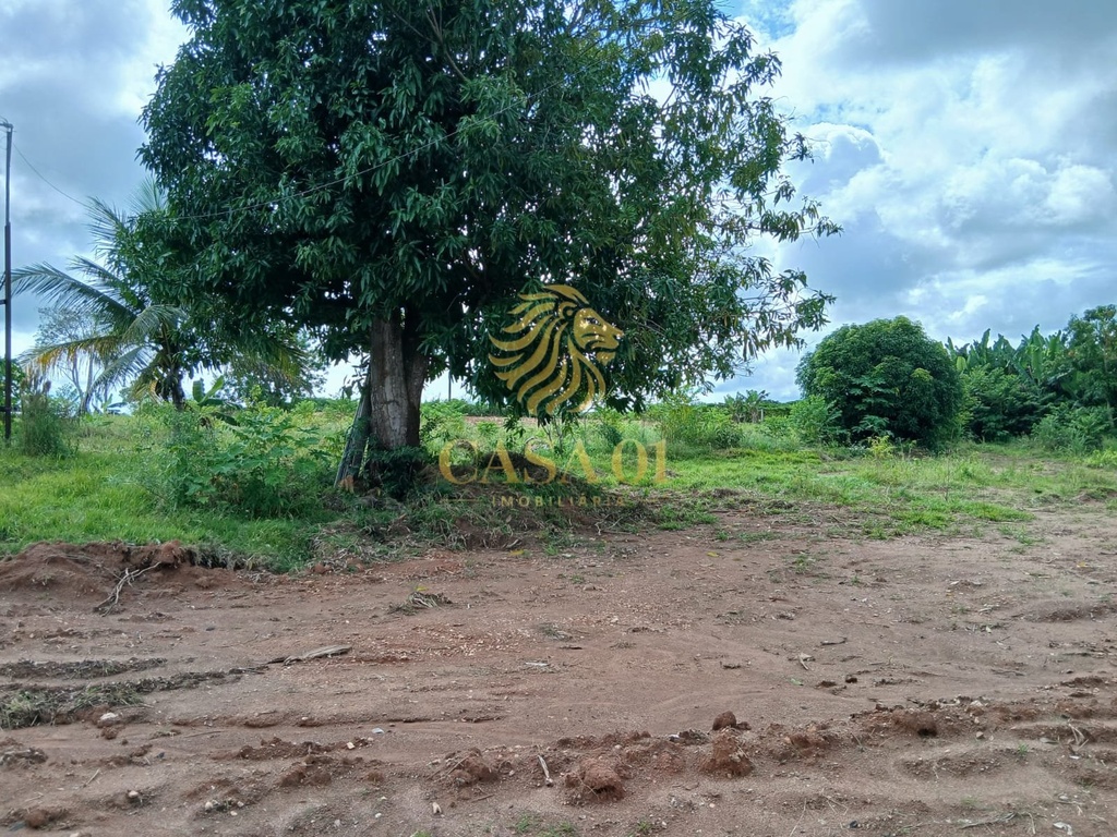 commercial-/-agricultural-area-rural-de-cacoal-cacoal-ro