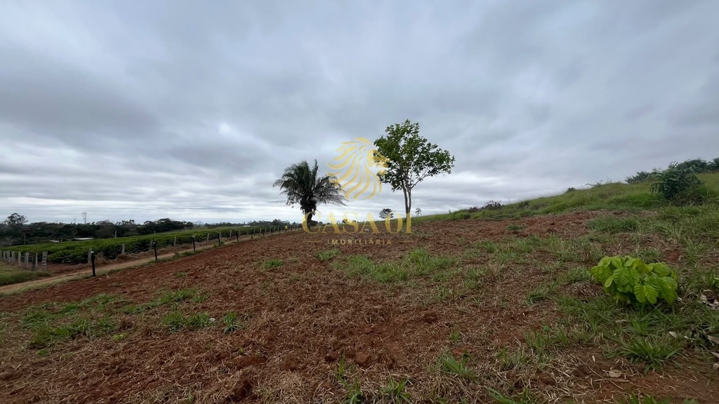 residential-/-land-lot-linha-6-cacoal-ro