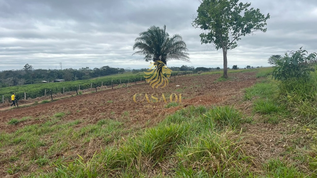 residential-/-land-lot-linha-6-cacoal-ro