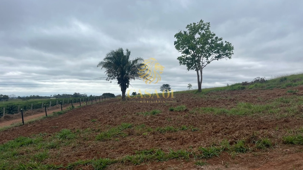 residential-/-land-lot-linha-6-cacoal-ro
