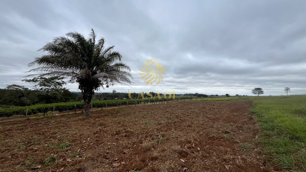 residential-/-land-lot-linha-6-cacoal-ro