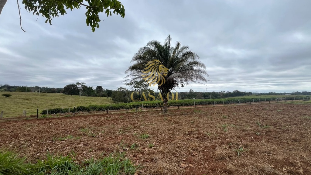 residential-/-land-lot-linha-6-cacoal-ro