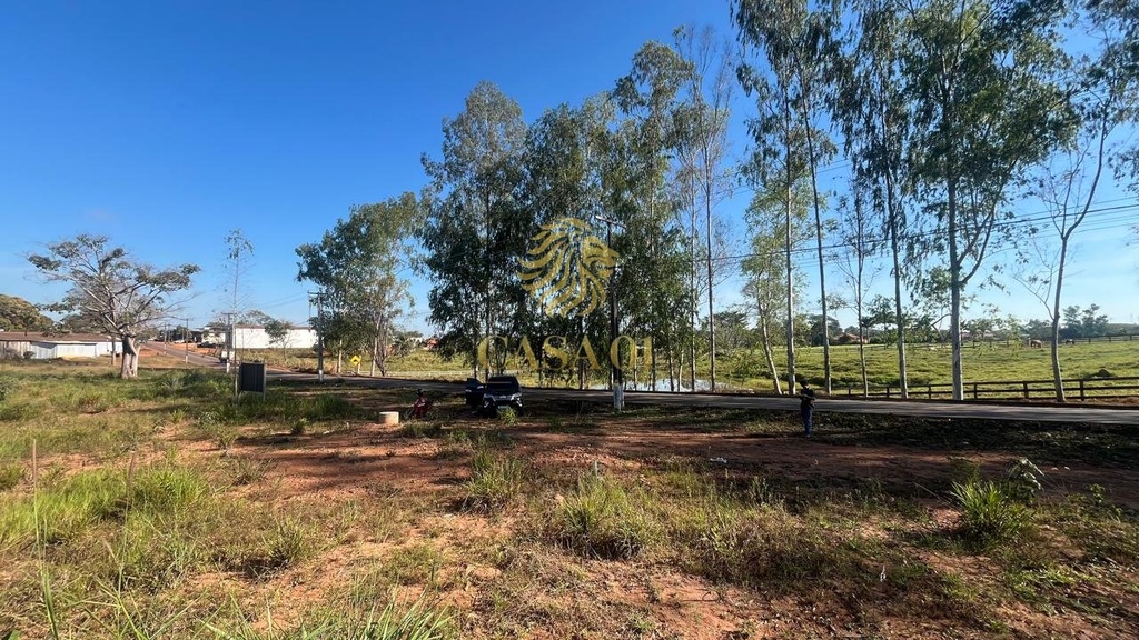 residential-/-land-lot-teixeirao-cacoal-ro