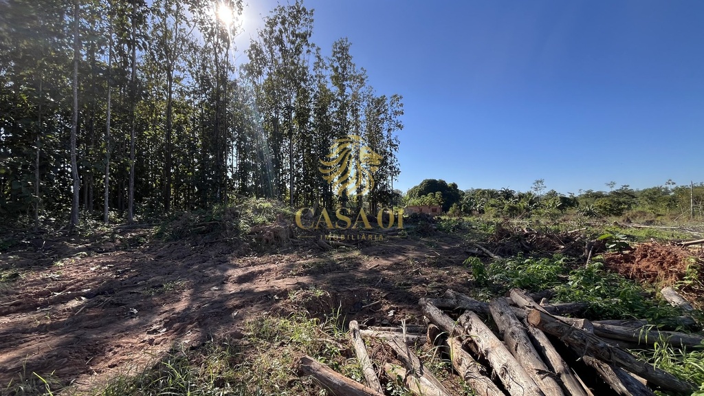 commercial-/-agricultural-area-rural-de-cacoal-cacoal-ro