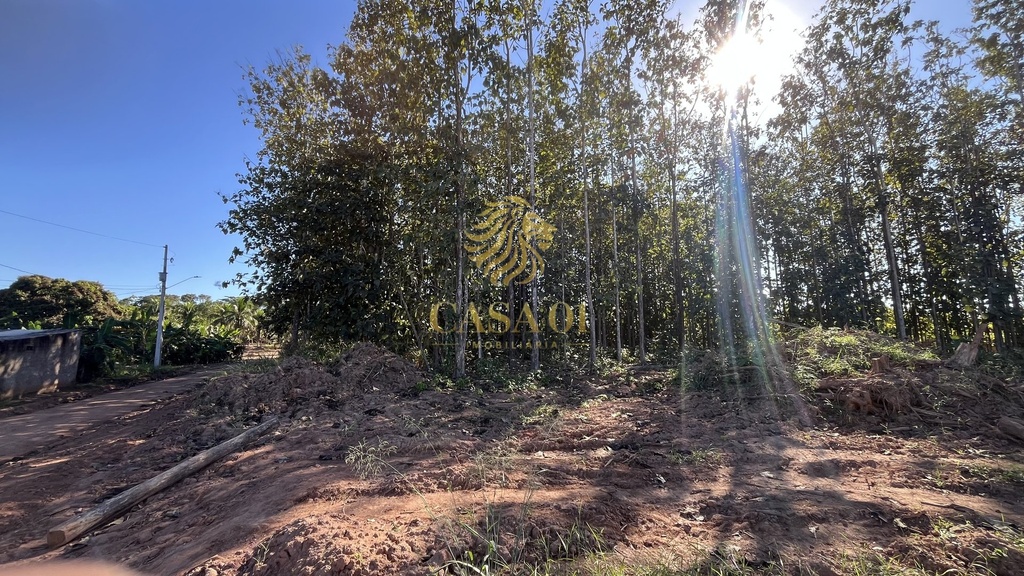 commercial-/-agricultural-area-rural-de-cacoal-cacoal-ro