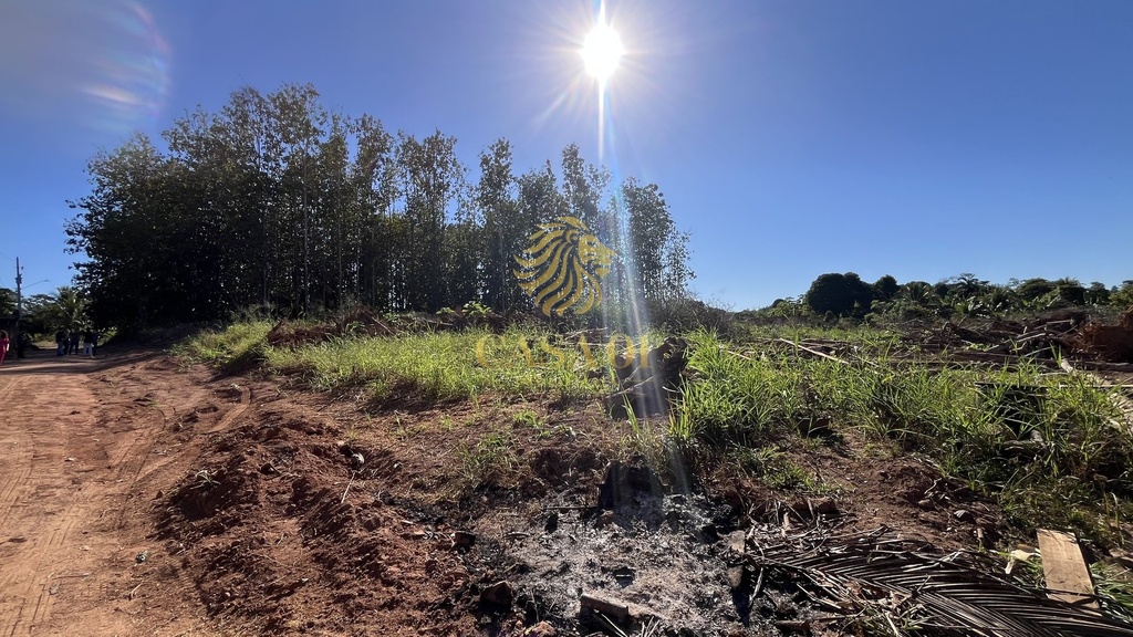 commercial-/-agricultural-area-rural-de-cacoal-cacoal-ro