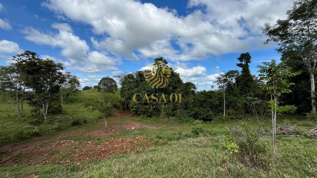commercial-/-agricultural-area-rural-de-cacoal-cacoal-ro