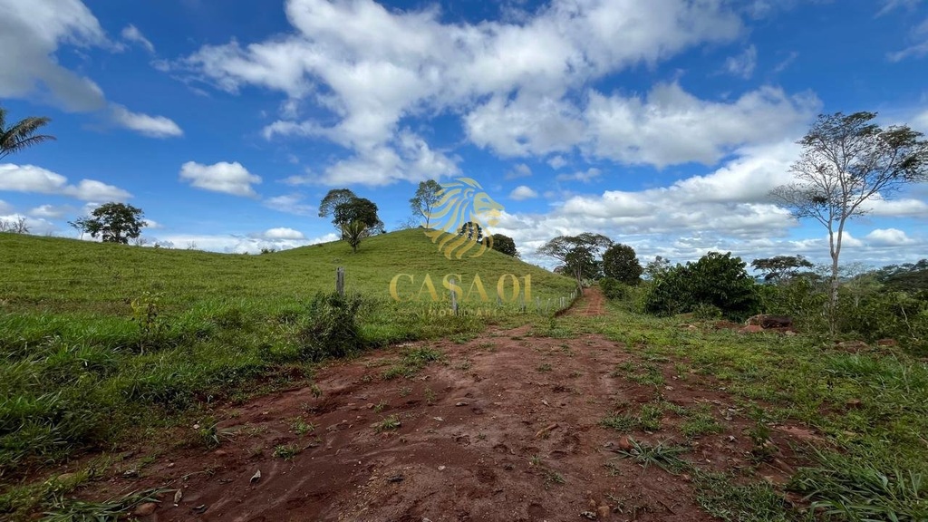 commercial-/-agricultural-area-rural-de-cacoal-cacoal-ro