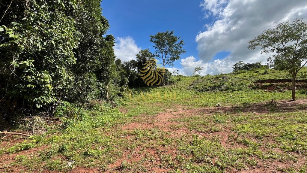 commercial-/-agricultural-area-rural-de-cacoal-cacoal-ro