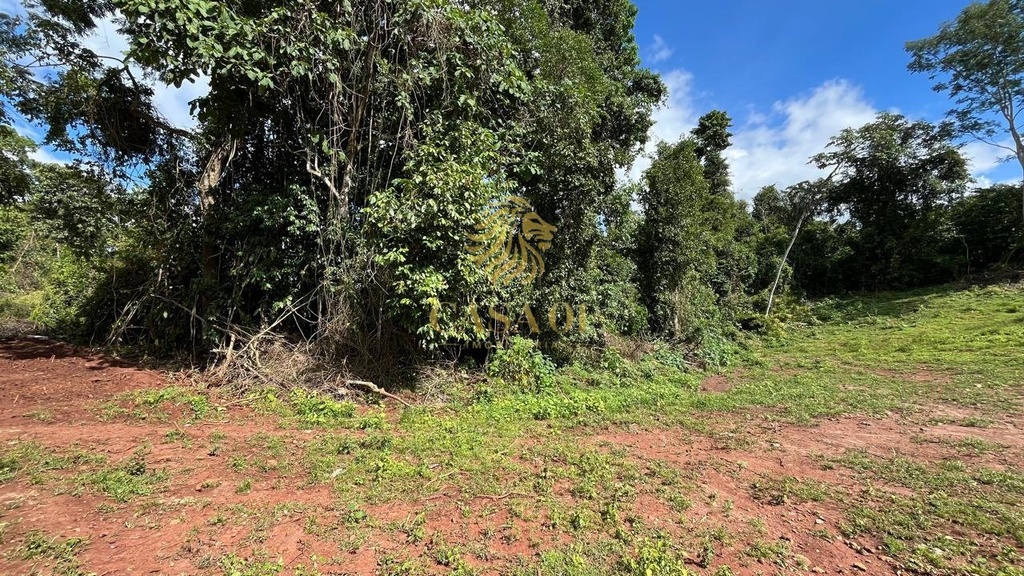 commercial-/-agricultural-area-rural-de-cacoal-cacoal-ro