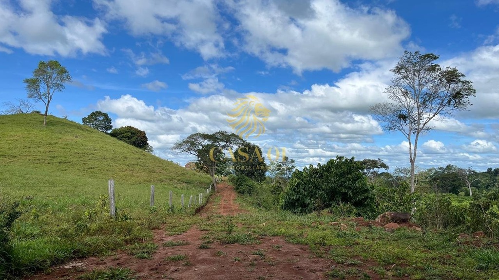 commercial-/-agricultural-area-rural-de-cacoal-cacoal-ro