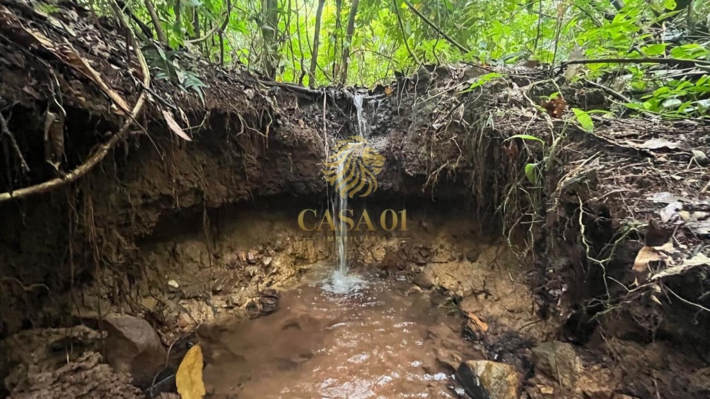 commercial-/-agricultural-area-rural-de-cacoal-cacoal-ro
