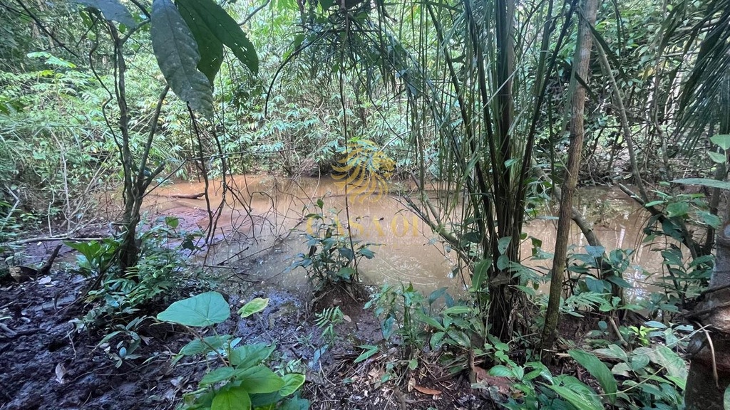 commercial-/-agricultural-area-rural-de-cacoal-cacoal-ro