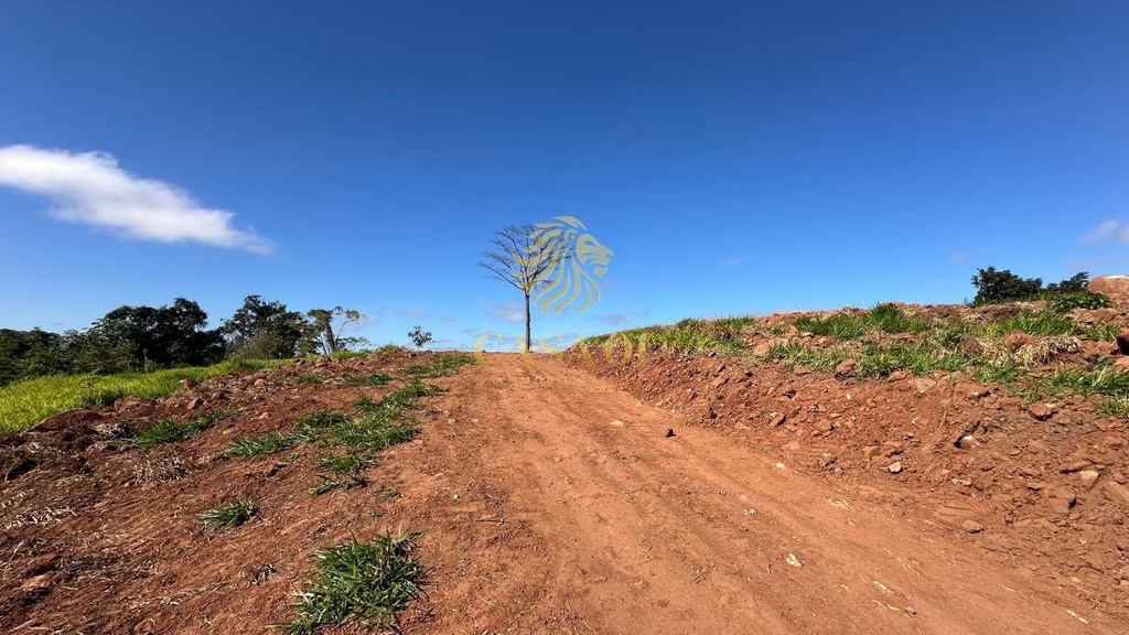 commercial-/-agricultural-area-rural-de-cacoal-cacoal-ro