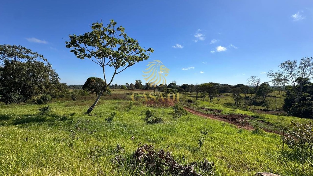 commercial-/-agricultural-area-rural-de-cacoal-cacoal-ro