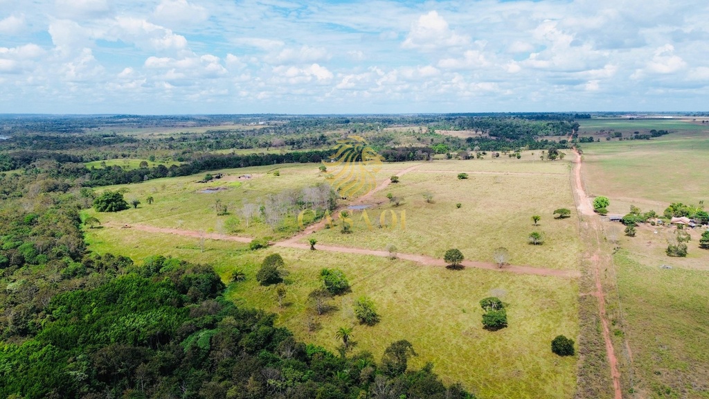 commercial-/-agricultural-area-rural-de-cacoal-cacoal-ro