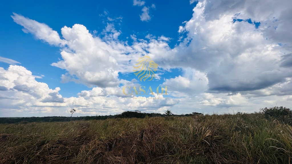 commercial-/-agricultural-area-rural-de-cacoal-cacoal-ro