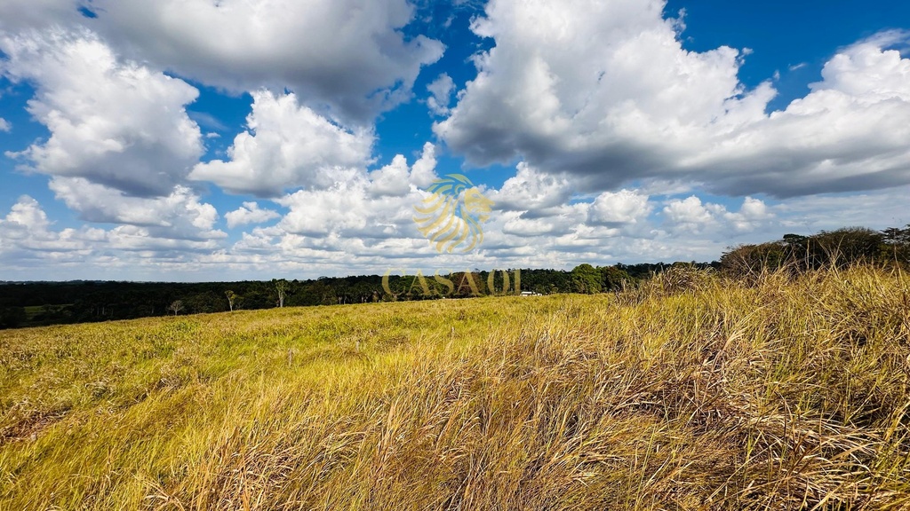 commercial-/-agricultural-area-rural-de-cacoal-cacoal-ro