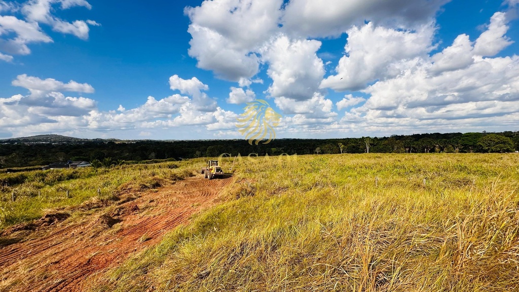 commercial-/-agricultural-area-rural-de-cacoal-cacoal-ro